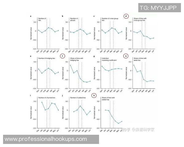 数据分析：西安排球队的团队协作表现