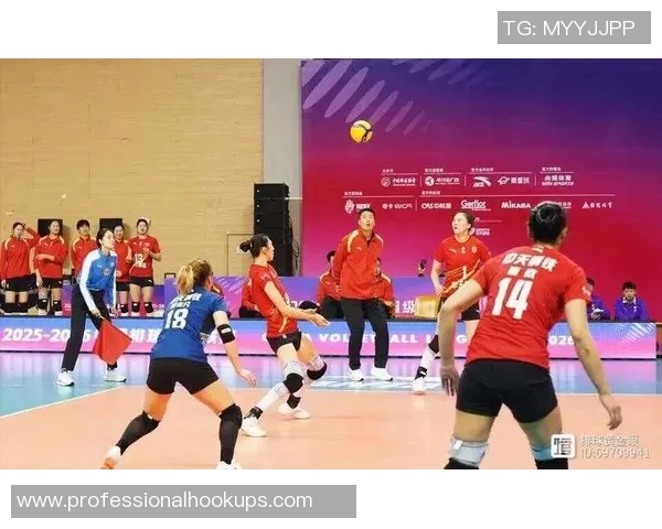 最新排球团队协作TOP10：南京排球队领跑