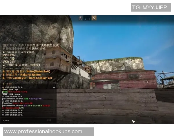 陈秀英专访：回顾CS_GO历程