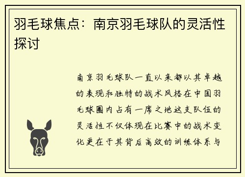 羽毛球焦点：南京羽毛球队的灵活性探讨