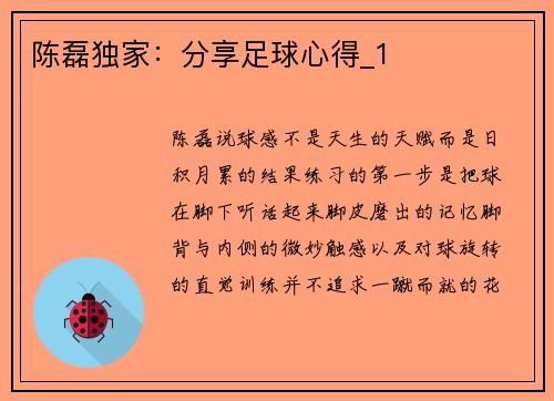 陈磊独家：分享足球心得_1