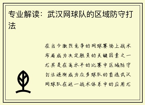 专业解读：武汉网球队的区域防守打法