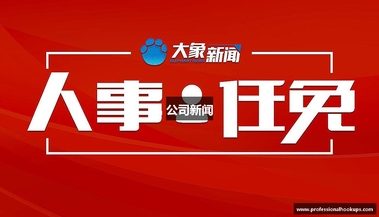 公司新闻